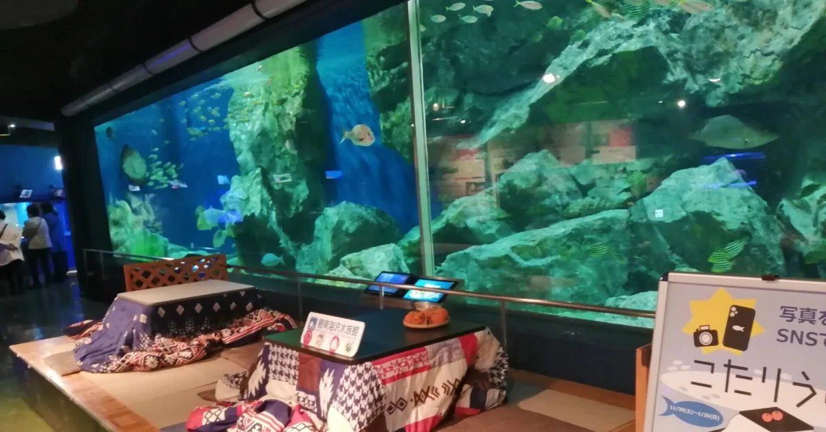 🐠 헤키난 해변 수족관 (헤키난카이힌스이조쿠칸) 이미지 1